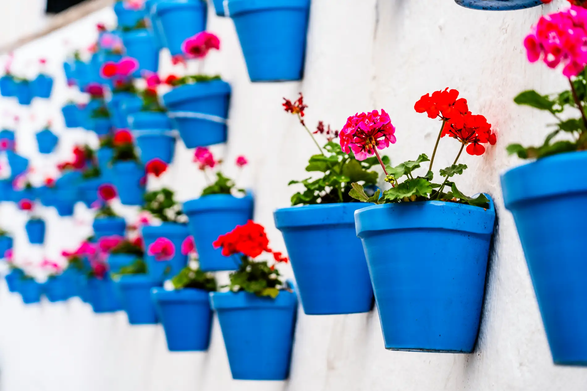 Das Goldene Dreieck Spanien