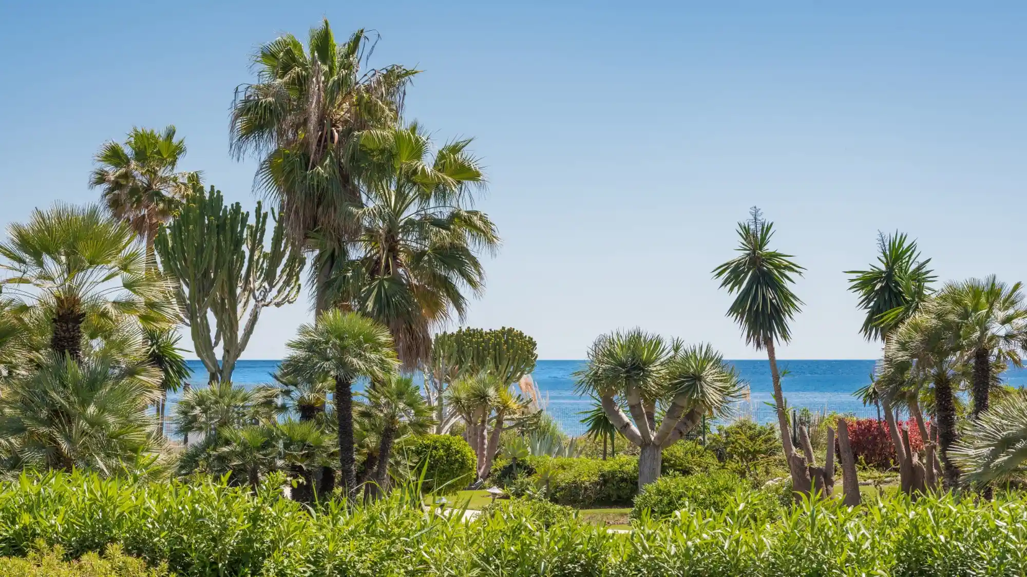 Luxury Beachfront Apartment in Costalita - Top Properties Estepona