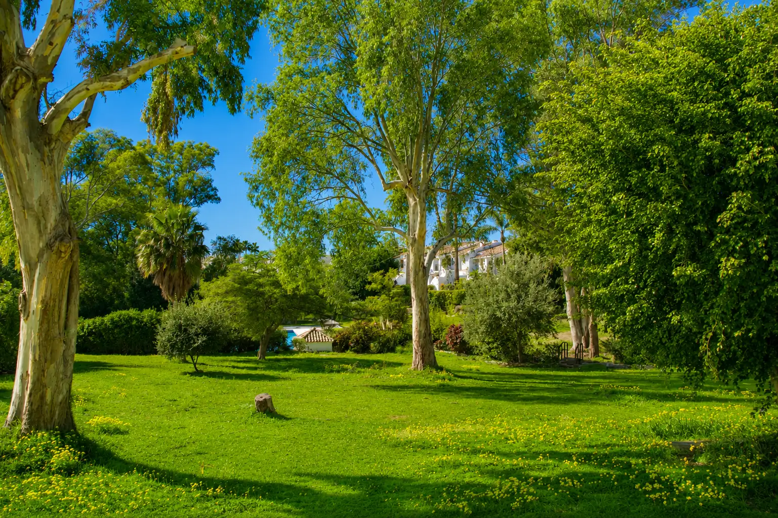 Unique duplex townhouse in Nueva Atalaya - Top Properties Estepona