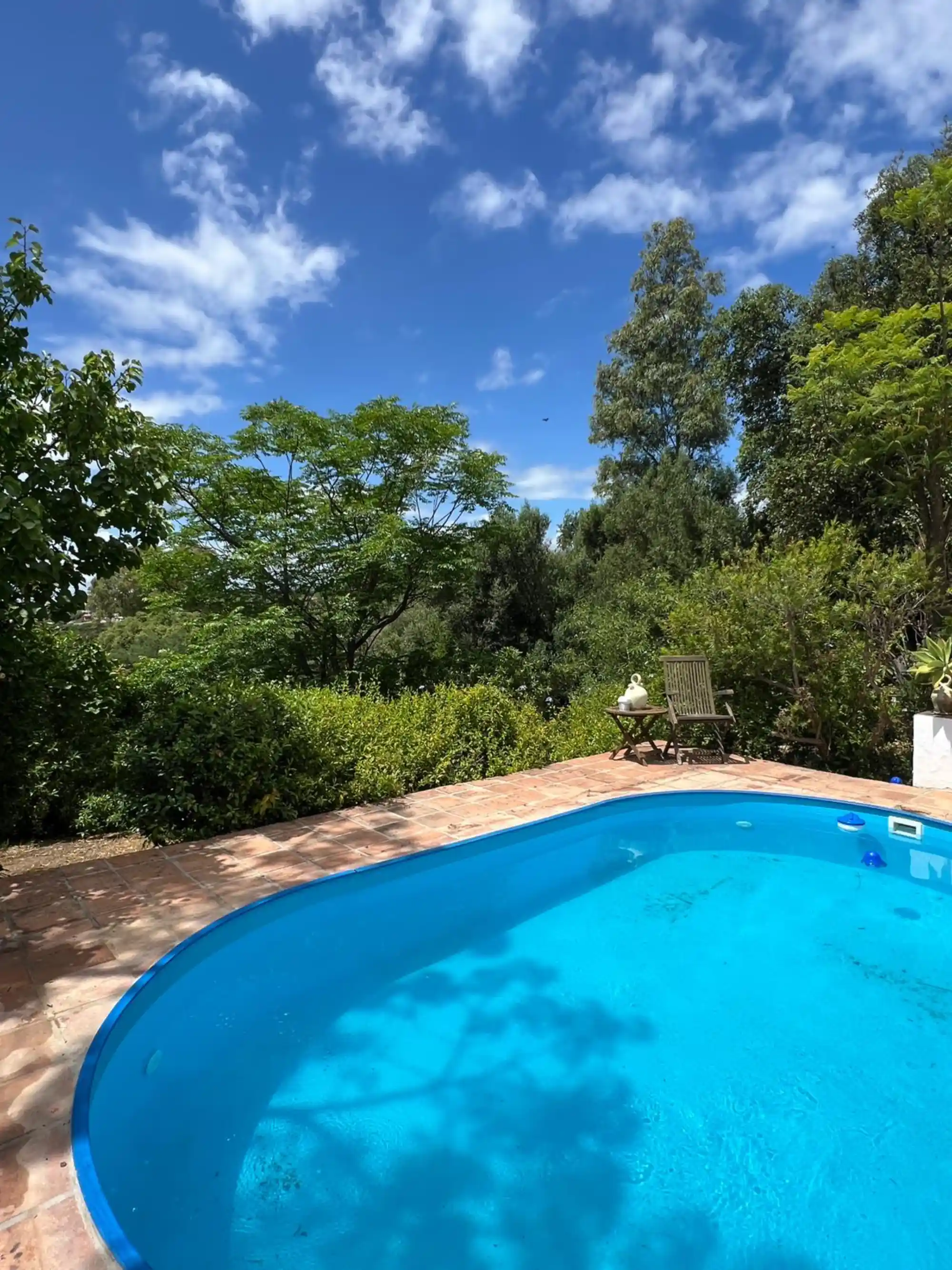 Charming Andalusian Country Home in Estepona - Top Properties Estepona