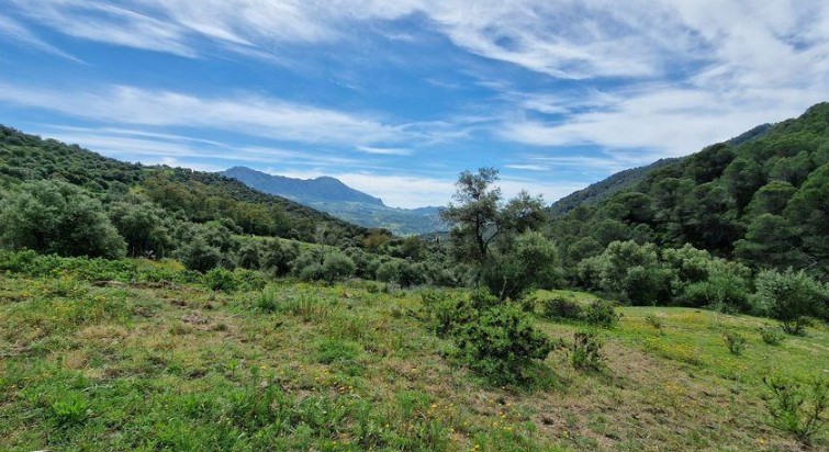 Finca El Chaparro - Top Preporties