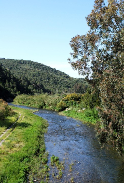 Finca El Chaparro - Top Preporties