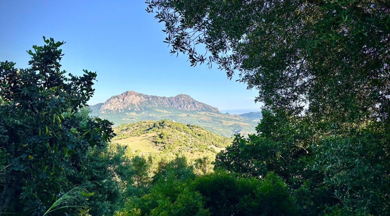 Finca El Chaparro - Top Preporties